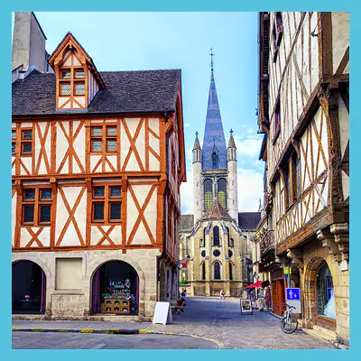 dijon-VIGNETTE_ARTICLES_SITE-REVO11.jpg