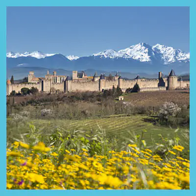 CARCASSONNE_VIGNETTES_SITE-REVO_DECEMBRE-2021.jpg