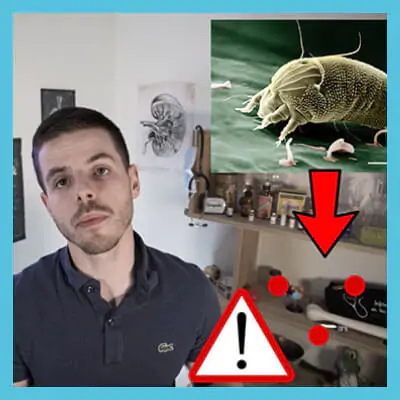 VIGNETTES_SITE-REVO_LES_MINUTES_DE_JEREMY6.jpg