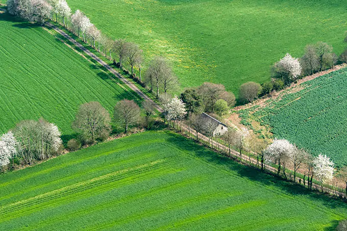 ville de flers