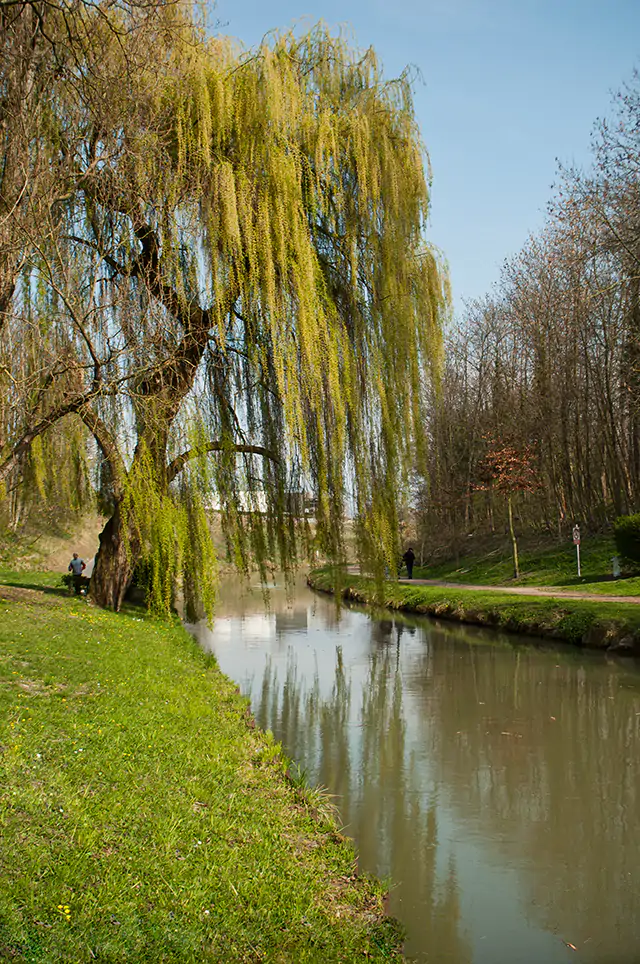 chemin villeparisis
