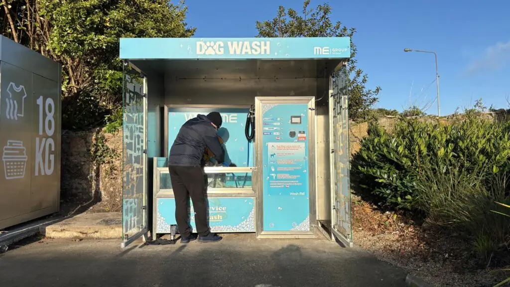 Pet owner washing his dog at the Wash.ME Dog Wash in Sandymount