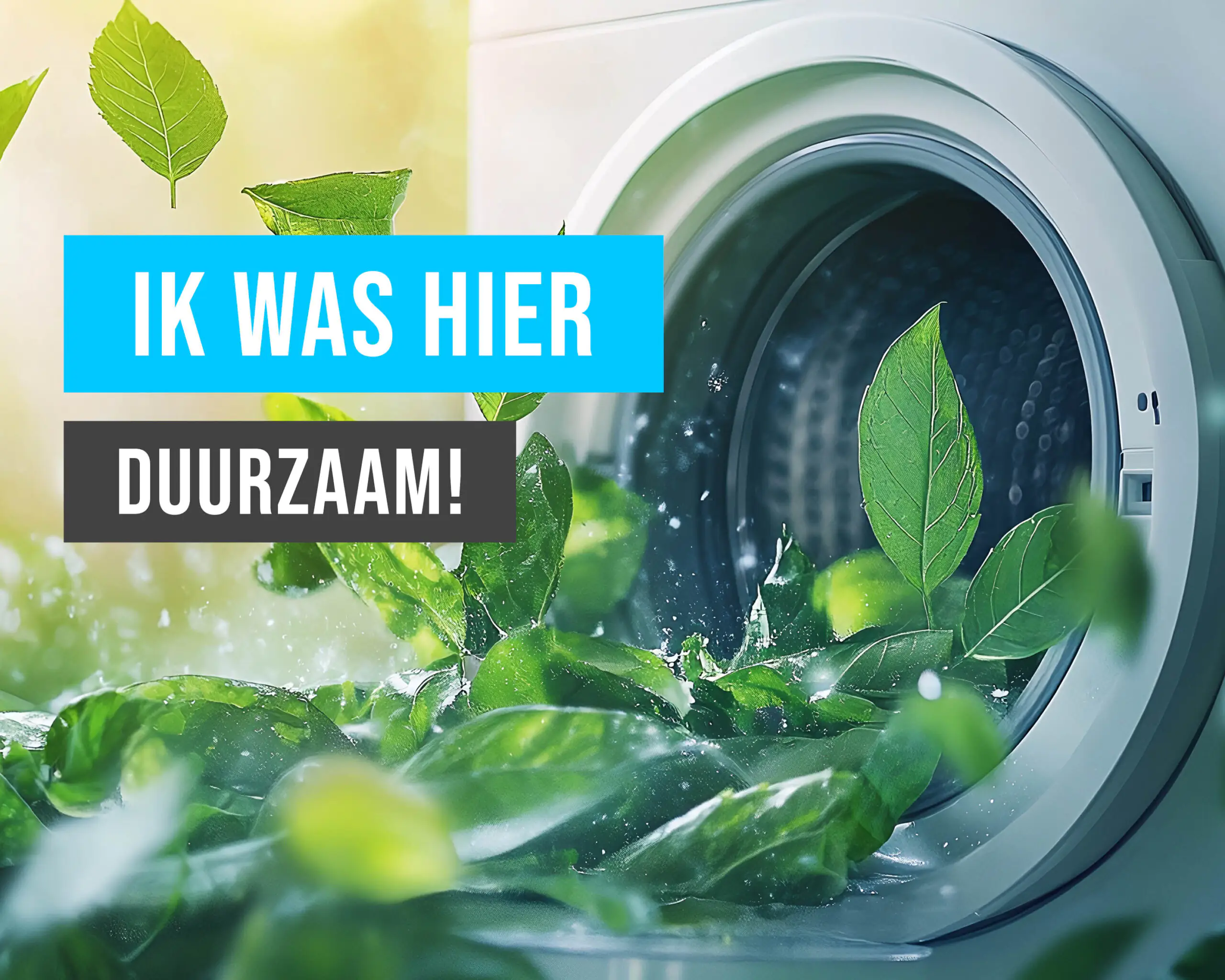 duurzaam-wassen-wash-me-scaled.jpg